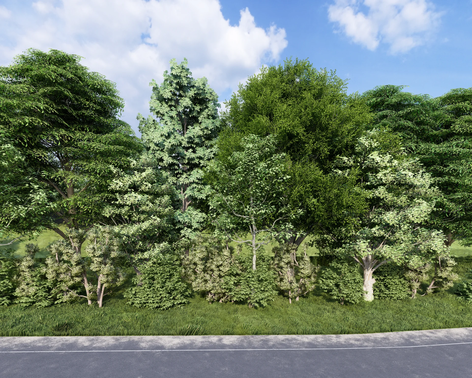 Ground-level view from East Coffee Creek Road showing a mature tree and shrub buffer along the north edge of the Redbud Energy Facility parcel, screening the site from the road
