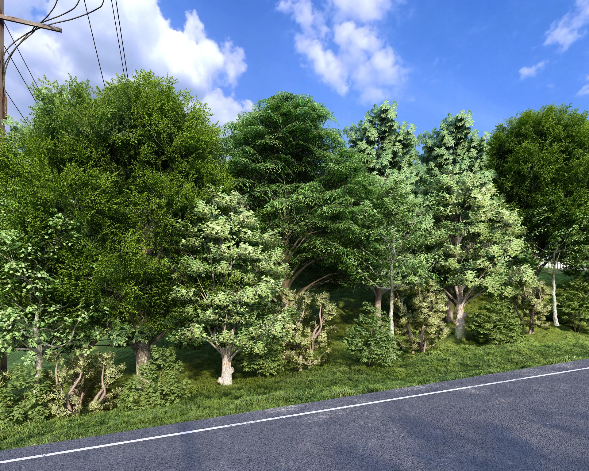Ground-level view from the western side of the site on East Covell Road showing dense landscaping and trees screening the facility from the roadway under overcast sky